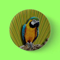 Orange Parrot & Palms button buttons