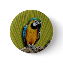 Orange Parrot & Palms button