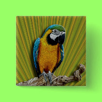 Orange Parrot & Palms button buttons