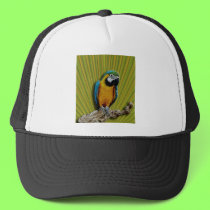 Orange Parrot & Palms hat hats
