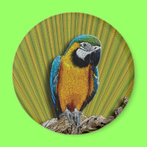 Orange Parrot & Palms magnet