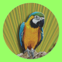 Orange Parrot & Palms stickers stickers