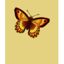 Orange Patterned Butterfly t-shirts by Lidusik Orange Patterned Butterfly t-shirts