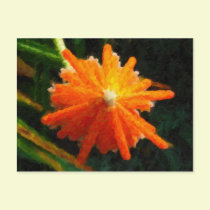 Orange Pencil postcards