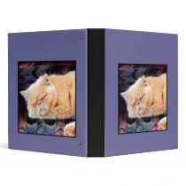 Orange Persian cat binder