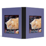 Orange Persian cat binder
