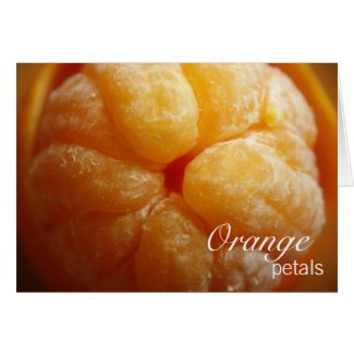 Orange Petals Card card