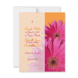 Orange & Pink Gerbera Daisy Save the Date Card invitation