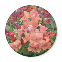 Orange-Pink Stock magnets