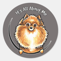 Orange Pomeranian IAAM Sticker