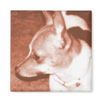Orange Pop Art Chihuahua Magnet by RLMdesignes Orange Pop Art Chihuahua Magnet