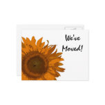 Orange Pop Art Flower Change of Address