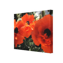 Orange Poppies Floral Canvas Print