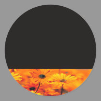 orange poppies stickers
