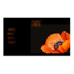 Orange Poppy Business Card business cards