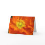 Orange Poppy Flower Photo Greeting or Note Card
