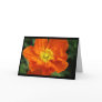 Orange Poppy Flower Photo Greeting or Note Card