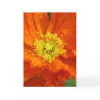 Orange Poppy Flower Photo Greeting or Note Cards