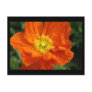 Orange Poppy Flower Post Card