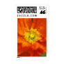 Orange Poppy Flower Postage Stamp