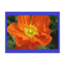 Orange Poppy Flower Postcard