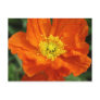 Orange Poppy Flower Postcard