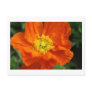 Orange Poppy Flower Postcards