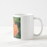 Orange Poppy Mug