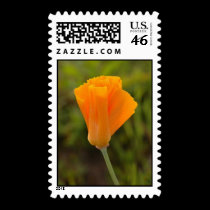 Orange Poppy postage by kokobaby Orange Poppy postage