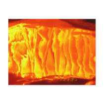 Orange postcards