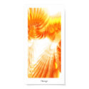 Orange posters by Clushje Orange posters
