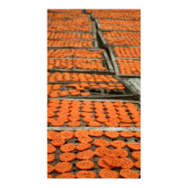Orange Prawn posters