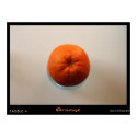 Orange posters by photographs Orange posters