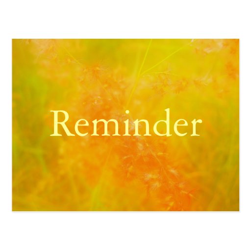 Orange professional appointment reminder card postcard Zazzle