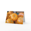 Orange Pumpkin Ghourds card