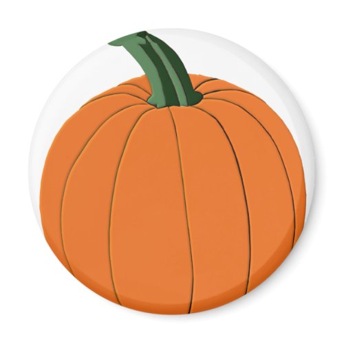 Orange pumpkin magnet magnet