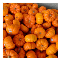Orange Pumpkins posters