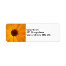 Orange Rain Daisy Address Labels