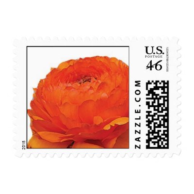 Orange Ranunculus Flower Stamps by parke131