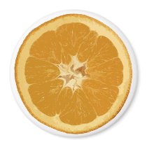 orange. realistic. magnets