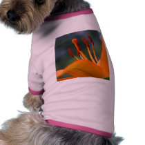 Orange Red Flower Hibiscus pet clothing by lifesphere Orange Red Flower Hibiscus pet clothing