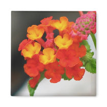 Orange-Red Lantana magnets by princessklb07 Orange-Red Lantana magnets