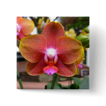 Orange Red Orchid Button