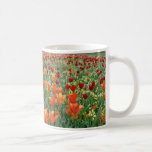 Orange & Red Tulips Coffee Mugs