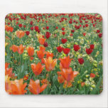 Orange & Red Tulips Mouse Pads
