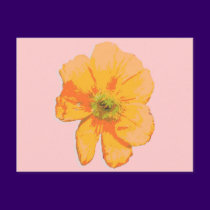 Orange Retro/ PopArt Flower postcards
