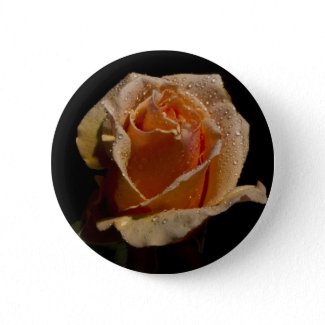 Orange Rose 1 zazzle_button