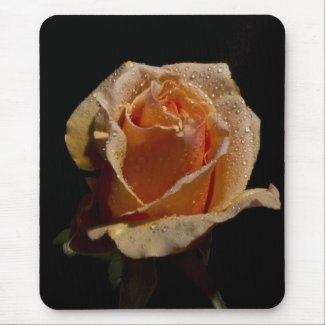 Orange Rose 1 zazzle_mousepad