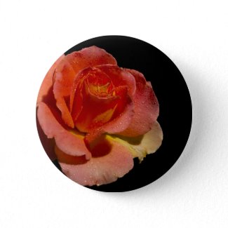 Orange Rose 2 zazzle_button