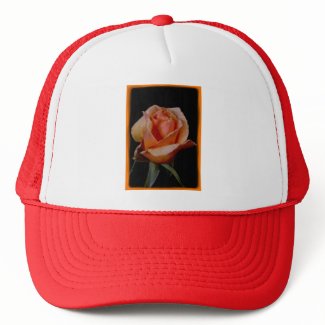 Orange Rose 3 zazzle_hat
